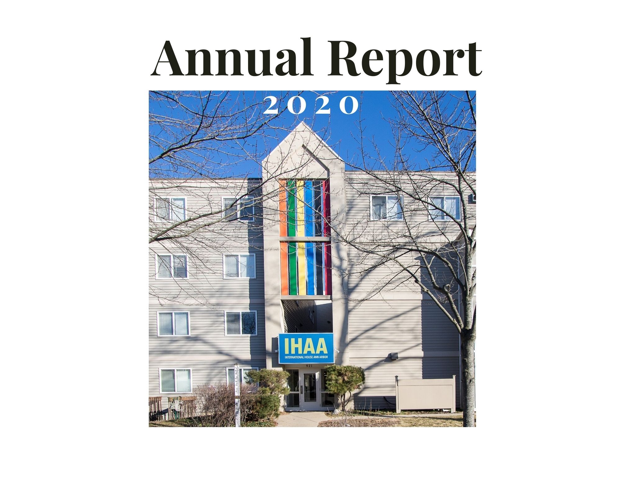 Annual Report 2020